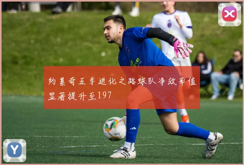 约基奇五季进化之路球队净效率值显著提升至197
