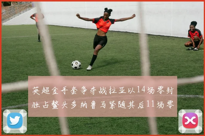 英超金手套争夺战拉亚以14场零封独占鳌头多纳鲁马紧随其后11场零封
