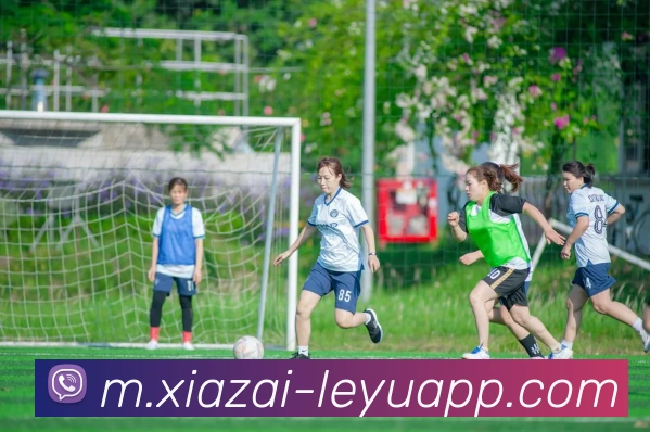 乐鱼体育平台生态图