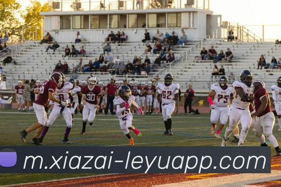 乐鱼体育APP 封面图