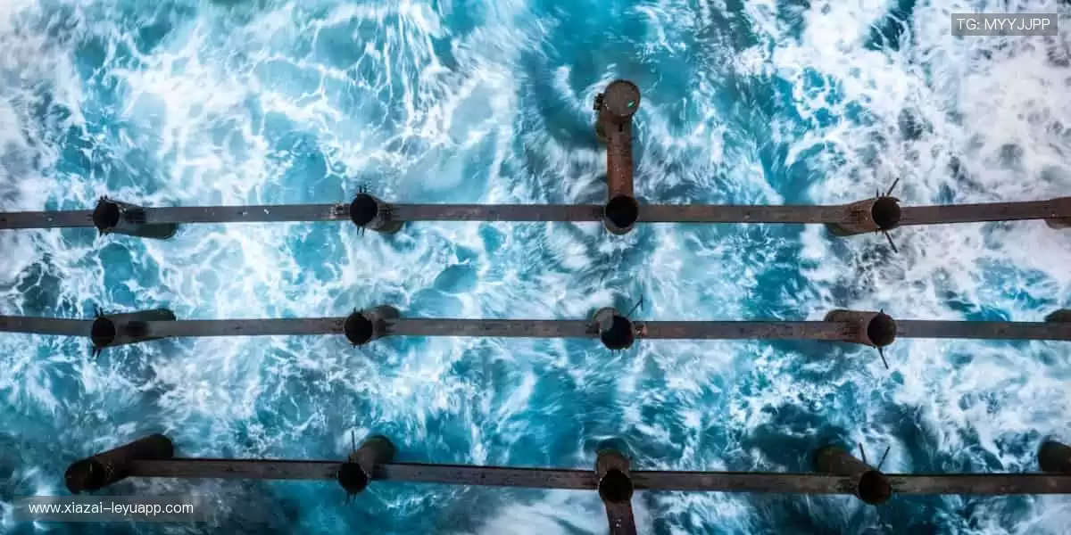 🎨潮流设计，让运动成为时尚标签！👕